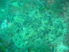 DSC03251-2