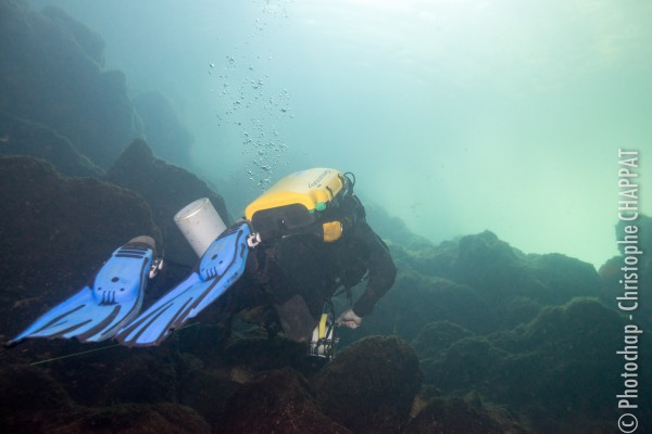 Gourneyras underwater