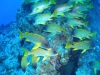 Egypte_EJ_002