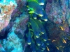 Egypte_EJ_004