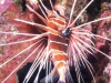 Egypte_EJ_006
