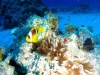 Egypte_EJ_007