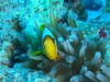Egypte_EJ_008