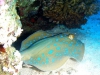 Egypte_EJ_011