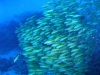 Egypte_EJ_016