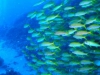 Egypte_EJ_017