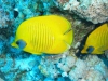Egypte_EJ_020