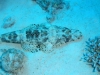 Egypte_EJ_021