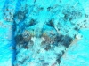 Egypte_EJ_022