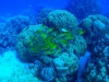 Egypte_EJ_027