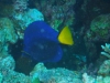 Egypte_EJ_088