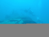 PA160474-WEB