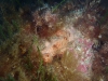 PA152004-WEB