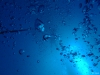 PA170563-WEB