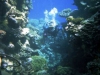 2002-quseir-p-12