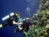 2002-quseir-p-13