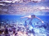 2002-quseir-p-23