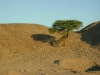 2002-quseir-pa-12