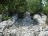 Rouet_15