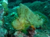 p1140582