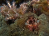 p1140650