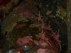 p1140661