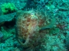 p1140717