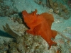 p1140733