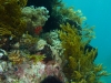 p1140740