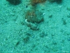 IMG_3805-WEB