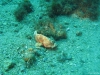 IMG_3806-WEB
