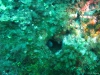IMG_3837-WEB