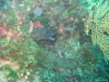 IMG_3842-WEB