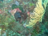 IMG_3844-WEB