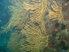 IMG_3851-WEB