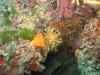 IMG_3854-WEB