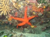 IMG_3858-WEB