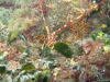 IMG_3864-WEB