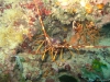 IMG_3865-WEB