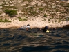 IMG_3881-WEB