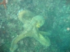 DSC03542-2-WEB