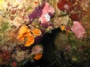 IMG_3331-2-WEB