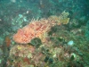 IMG_3355-2-WEB