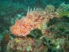 IMG_3358-2-WEB