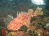 IMG_3360-2-WEB
