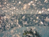 P2020696-WEB