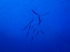 P9171735-WEB