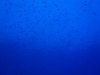 P9171746-WEB