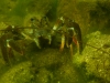 p1030661