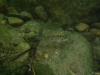 P8220177-WEB